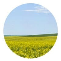 Acting Globally Tawigo Fund