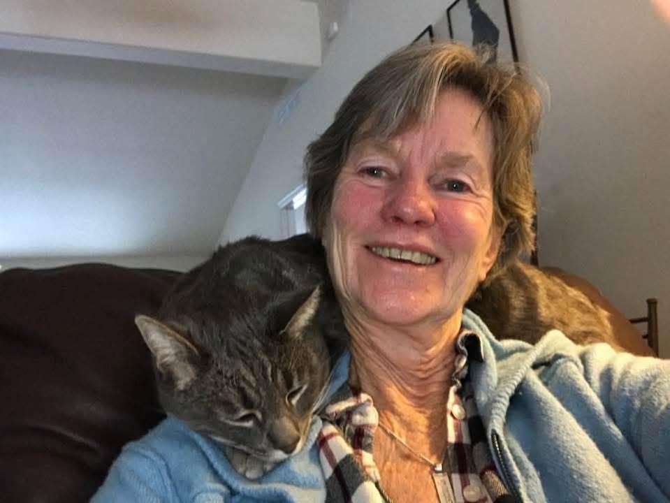 Journeys Within Our Community អង្គការសហគមន៍យើង